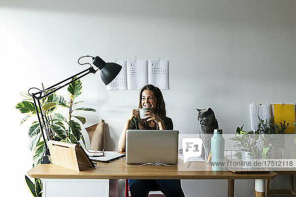 Smiling businesswoman with cat on desk having drink in home office