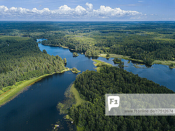 Aerial view of green forest surrounding Vuoksi river in summer