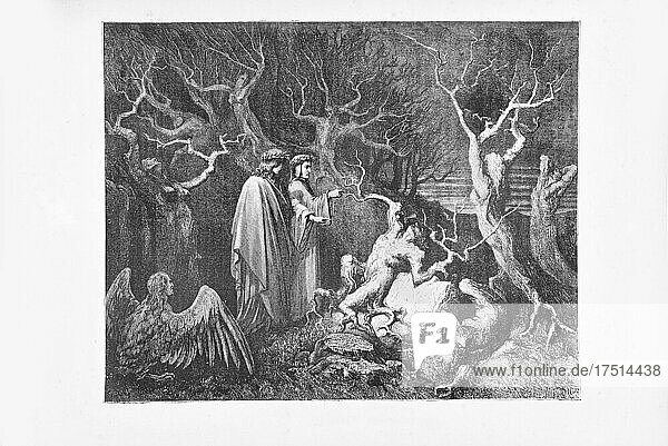 Gustave Doré  Die Göttliche Komödie  La Divina Commedia  Inferno  Gesang XIII  V. 33  1887  Kupferstich  (Sammlung Ambrosini)