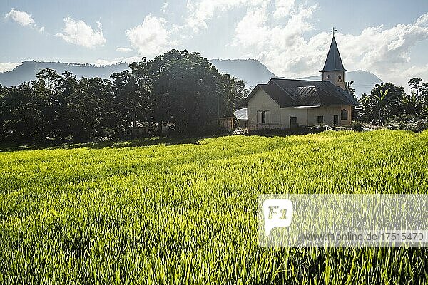 Reisfelder und eine Kirche am Toba-See  Danau Toba  Nordsumatra  Indonesien  Asien