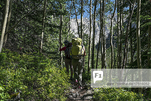 Two backpackers walk among aspens with rugged terrain ahead