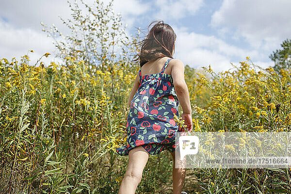 Little girl walks up hill through tall yellow wildflowers in summer