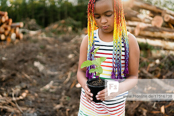 Girl with braids tenderly holds sapling on logging site