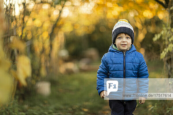 Front view of small boy in garden during autumn in blue jacket