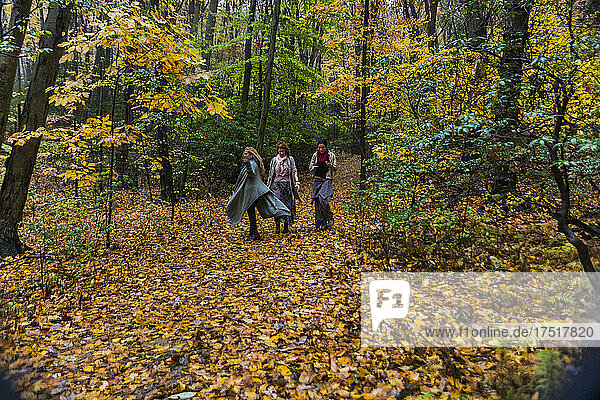 Women walking in the woods talking