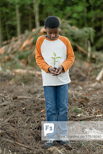 Boy holds sapling in cupped hands