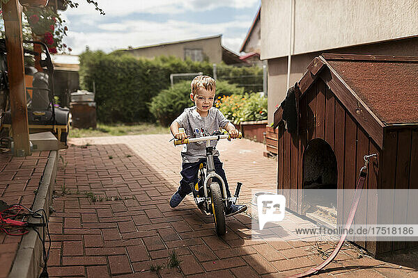 Small blonde boy in grey t-shirt riding push bike next to doghou