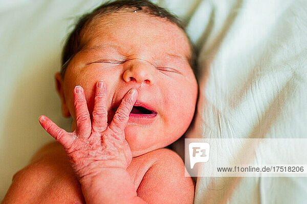 Newborn Baby face and hand