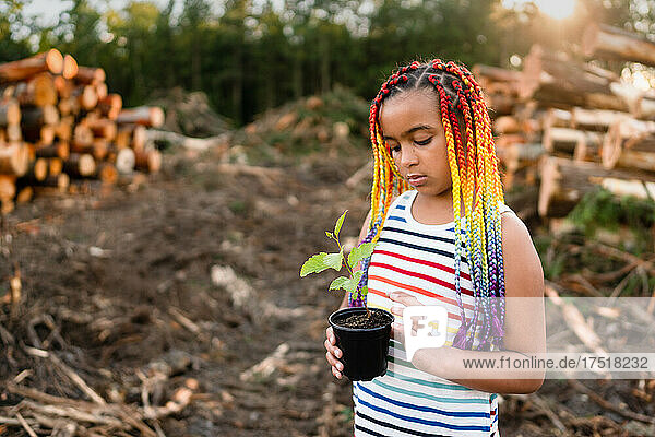 Girl with braids holds sapling on logging site