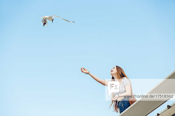 Ginger teen girl feeding seagulls