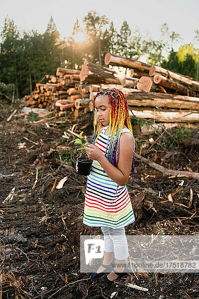 young girl with rainbow braids holds sapling on logging site