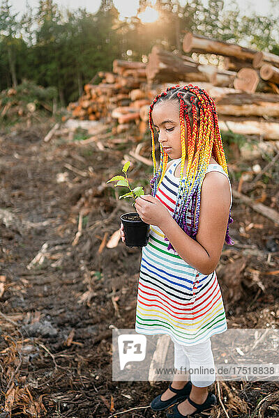 Girl with rainbow braids examines sapling on logging site