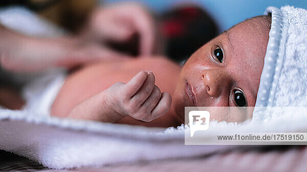 Portrait of a newborn baby. Drying with towel after bath.