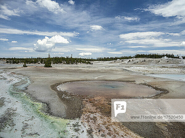 Porcelain Basin  in the Norris Geyser Basin area  Yellowstone National Park  UNESCO World Heritage Site  Wyoming  United States of America  North America