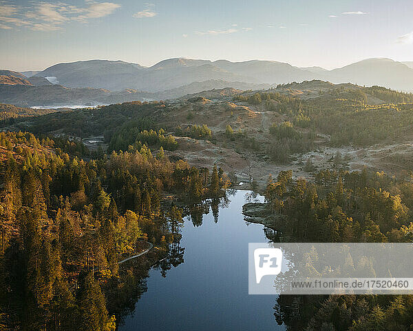 Aerial view over Tarn Hows at dawn  Lake District National Park  UNESCO World Heritage Site  Cumbria  England  United Kingdom  Europe