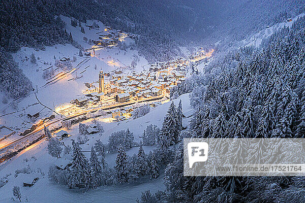Trees covered with snow in the winter forest surrounding the alpine village at Christmas  Valgerola  Valtellina  Lombardy  Italy  Europe