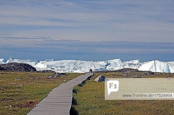 Wanderweg aus Holzbohlen führt durch arktische Landschaft  Fjord mit Eisbergen  Unesco World Heritage  Sermermuit  Ilulissat  Diskobucht  Arktis  Grönland  Dänemark  Nordamerika