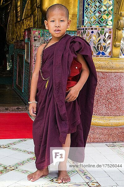 Mönch-Junge  Shwedagon Pagode  Yangoon  Myanmar  Yangoon  Myanmar  Asien