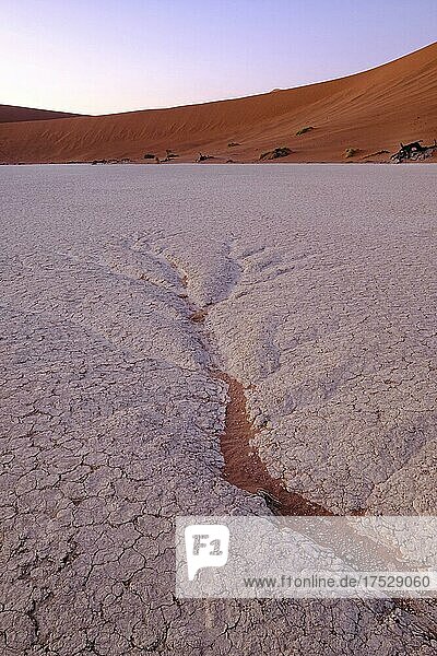 Dendritische Wassermuster auf der Tonpfanne. Deadvlei  Sossusvlei  Namib Naukluft National Park  Namibia  Afrika