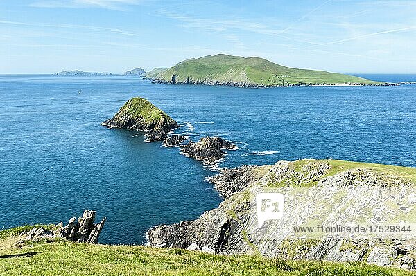 Küstenlandschaft mit Blasket-Inseln hinten  Dunmore Head  Daingean Uí Chúis  Slea Head Drive  Dingle-Halbinsel  County Kerry  Irland  Europa