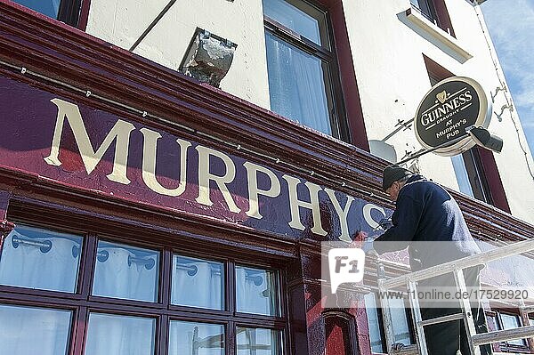 Maler  Neuanstrich  alter Mann streicht Pub Murphys  Guinness-Schild  Strand St  Slea Head Drive  Daingean Uí Chúis  Dingle  Dingle-Halbinsel  County Kerry  Irland  Europa