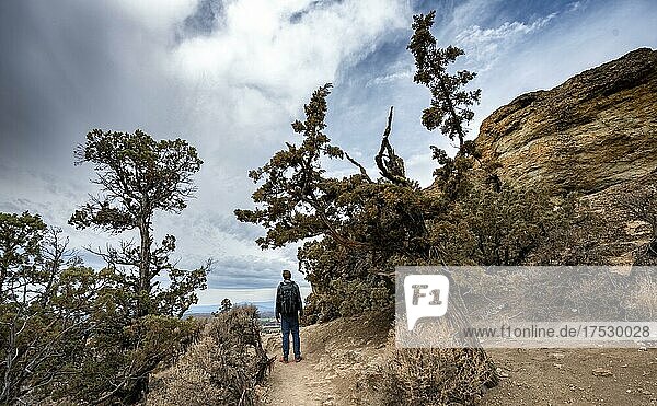 Junger Mann auf Wanderweg  blickt in die Ferne  Canyon mit Felsformationen  Smith Rock State Park  Oregon  USA  Nordamerika