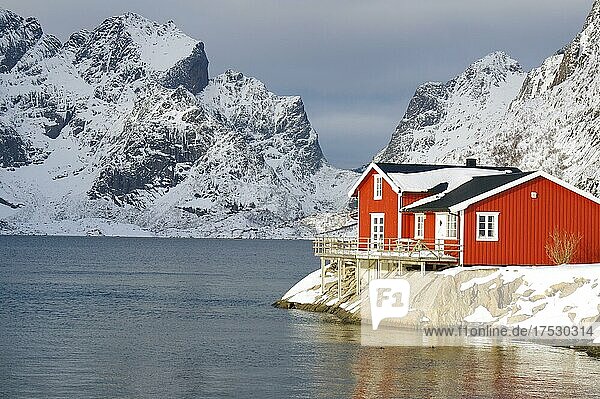Winterliche  nordische Landschaft mit rotem Ferienhaus  das direkt am Fjord steht  Rorbuer  Meer  Berge  Schnee  Hamnøy  Nordland  Lofoten  Norwegen  Europa
