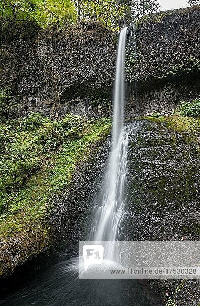 Wasserfall  Winter Falls  dichte herbstliche Vegetation  Silver Falls State Park  Oregon  USA  Nordamerika
