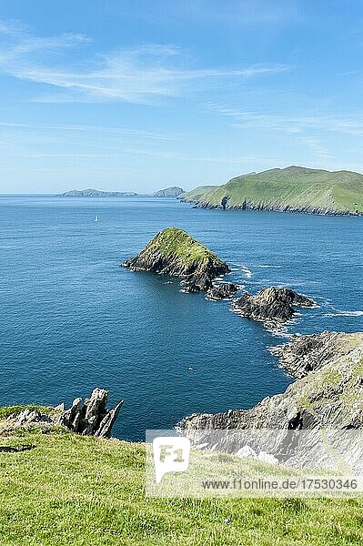 Küstenlandschaft mit Blasket-Inseln hinten  Dunmore Head  Daingean Uí Chúis  Slea Head Drive  Dingle-Halbinsel  County Kerry  Irland  Europa