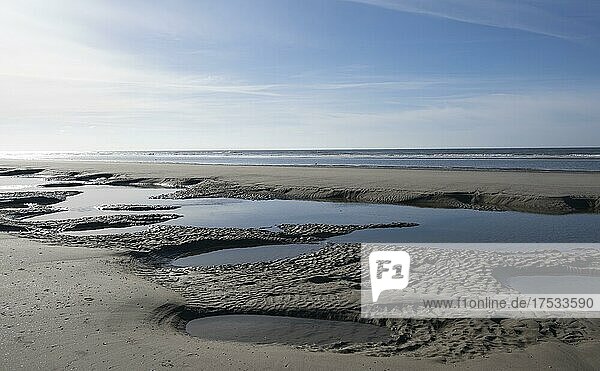 Sandy beach beach at low tide with tide pools  Juist Island  Lower Saxony Wadden Sea  North Sea  East Frisia  Lower Saxony  Germany  Europe
