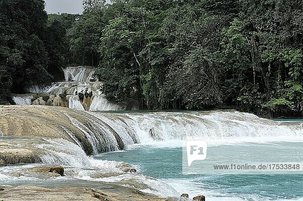 Cataratas de Agua Azul  Wasserfälle des blauen Wassers  Palenque  Chiapas  Mexiko  Mittelamerika