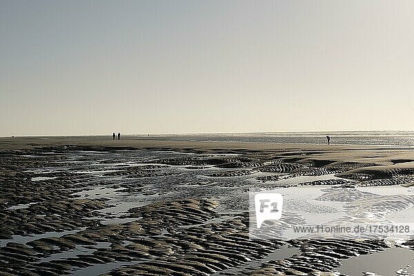 Walkers on the beach at low tide with tide pools  Juist Island  Lower Saxony Wadden Sea  North Sea  East Frisia  Lower Saxony  Germany  Europe