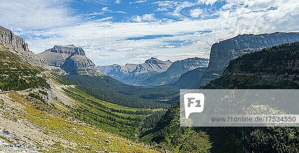 Blick über ein Tal mit Wald und Bergpanorama  Ausichtspunkt  Going-To-The-Sun-Road  Glacier Nationalpark