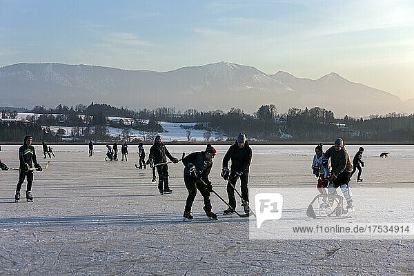 Winter sportsmen  skates  frozen lake  ice  snow  Simssee  Bavaria  Germany  Europe