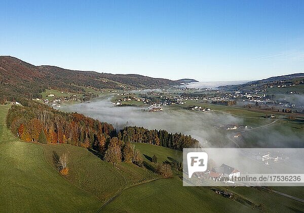 Drohnenaufnahme  Agrarlandschaft mit Bauernhäuser im Morgennebel  Mondseeland  Salzkammergut  Oberösterreich  Österreich  Europa