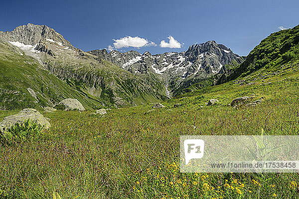 Green meadow amidst mountains on sunny day  Ecrins National Park  France