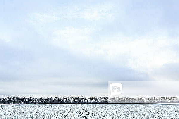 Snow covered field in winter