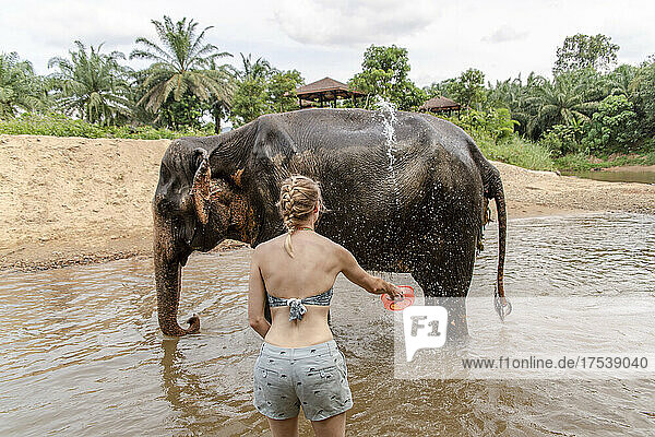 Frau badet Elefanten im Fluss
