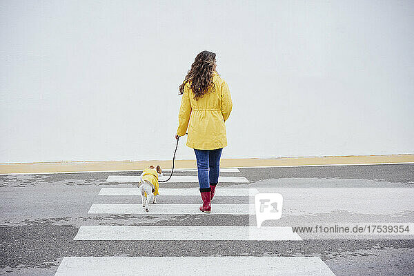 Woman with leash of dog crossing road