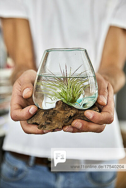 Man holding small plant in glass jar at home