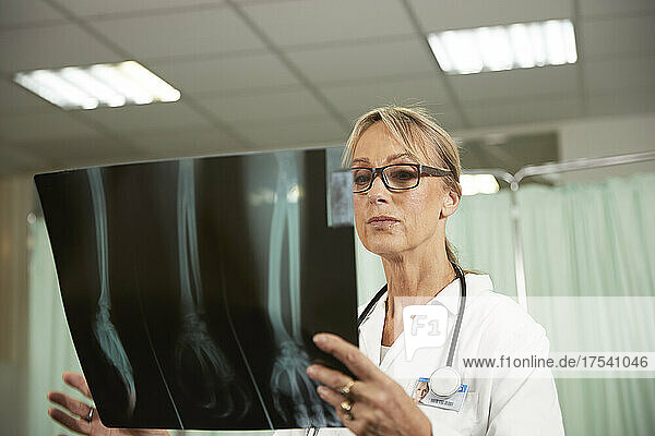 Female doctor with eyeglasses examining X-ray in medical room