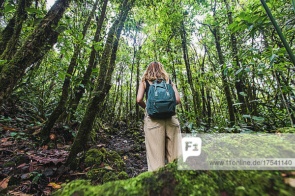 Young hiker with backpack exploring in green forest at Arenal Volcano National Park  La Fortuna  Alajuela Province  Costa Rica