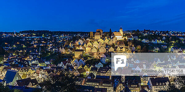 Germany  Baden-Wurttemberg  Altensteig  Old town houses at night