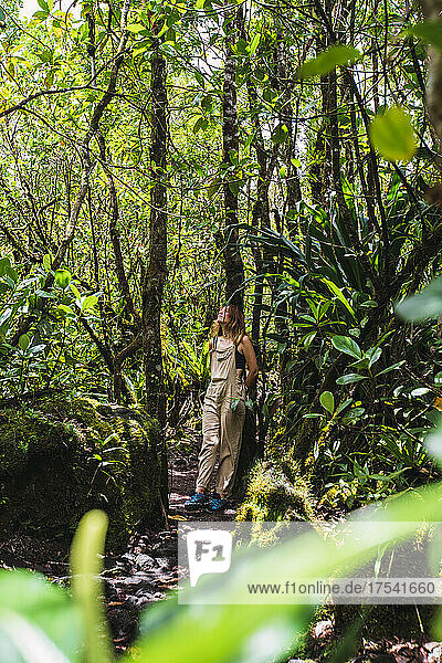 Woman amidst trees exploring in forest at Arenal Volcano National Park  La Fortuna  Alajuela Province  Costa Rica