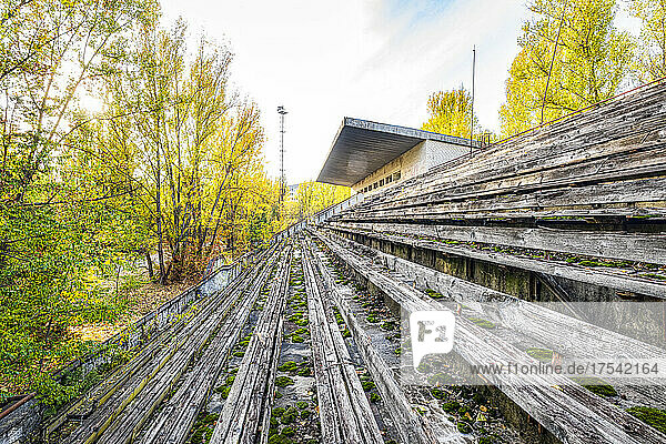 Ukraine  Kyiv Oblast  Pripyat  Wooden bleachers of abandoned Avanhard Stadium