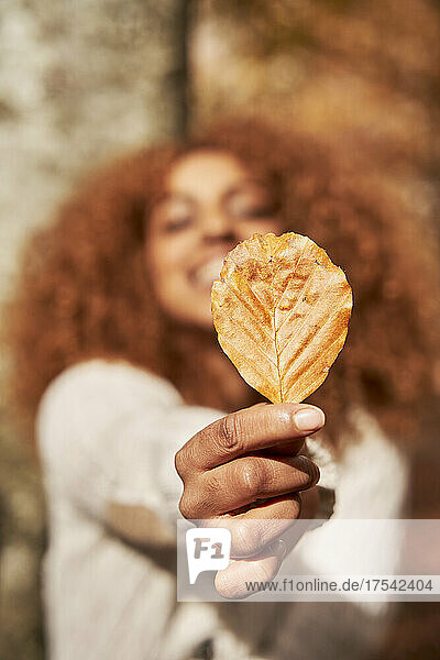 Young woman holding leaf on sunny day