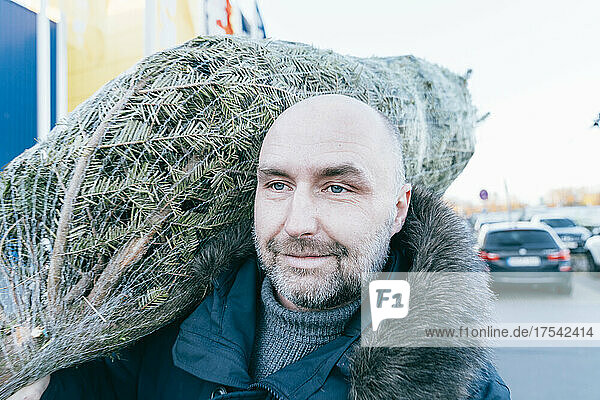 Smiling bald man carrying Christmas Tree