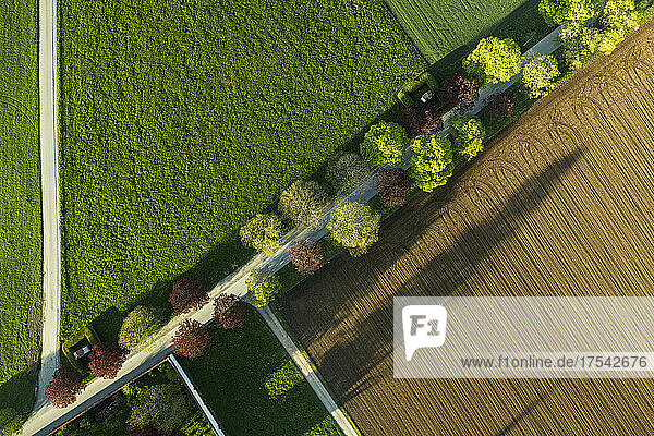 Aerial view of plowed field in spring