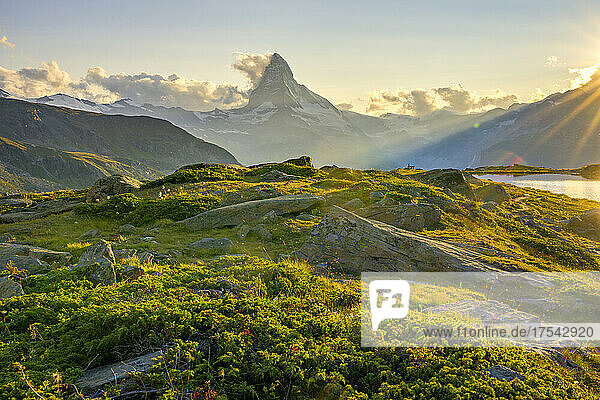 Beautiful green landscape with Matterhorn mountain at summer in Zermatt  Switzerland
