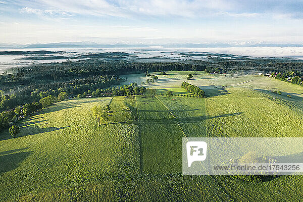 Aerial view of green springtime countryside at foggy dawn